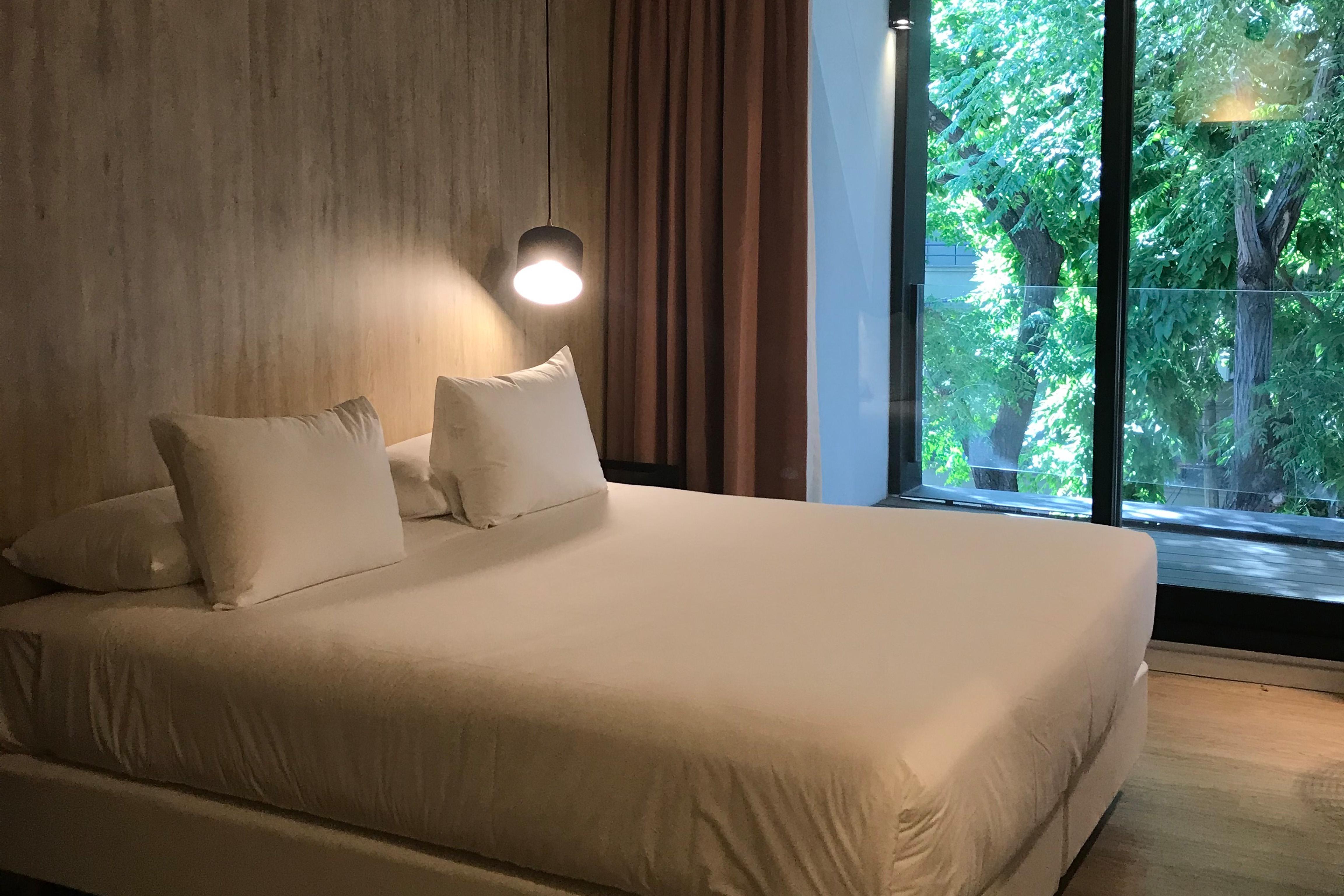 Krista Boutique Hotel ブエノスアイレス エクステリア 写真